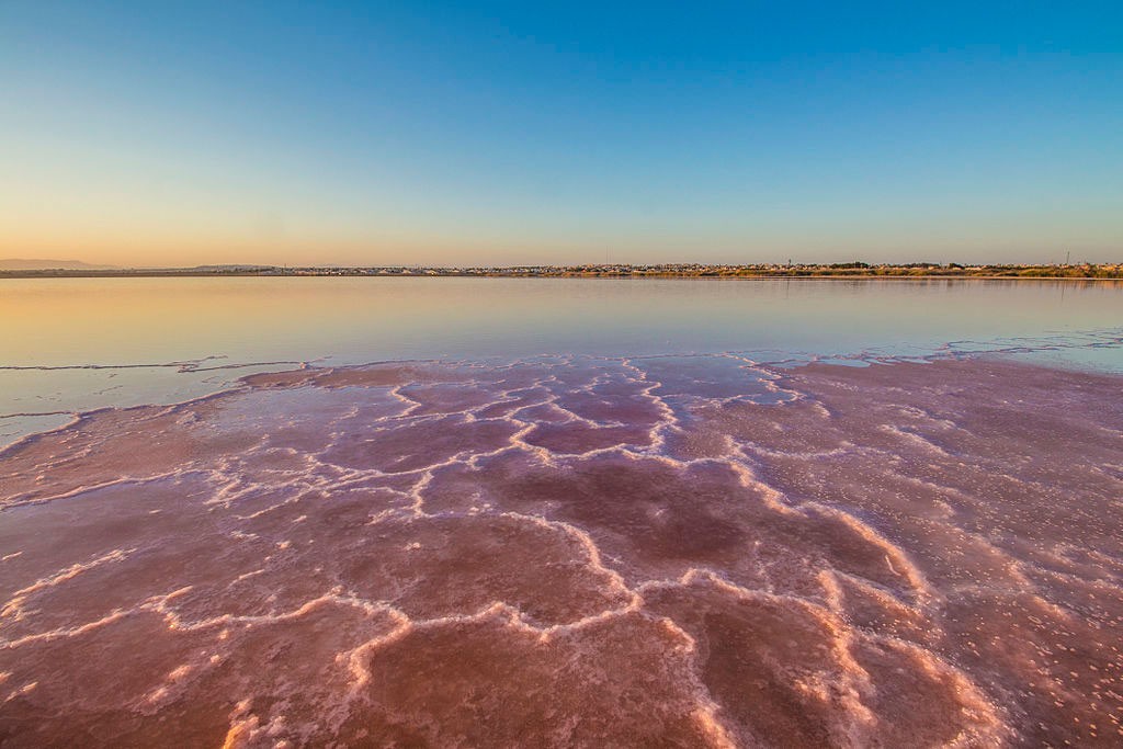 Salinas Torrevieja