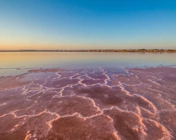 Salinas de Torrevieja y Santa Pola   