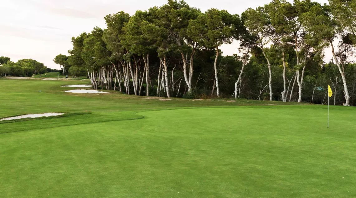 Villamartín golf
